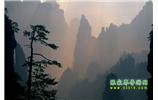 張家界國家森林公園、寶峰湖/黃龍洞、鳳凰古城、三峽八日游