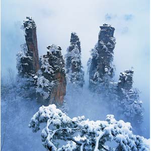 【喜樂(lè)A線(xiàn)】張家界、黃石寨、金鞭溪、天子山袁家界兩日品質(zhì)游